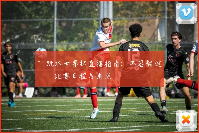 °跳水世界杯直播指南：不容错过的比赛日程与看点