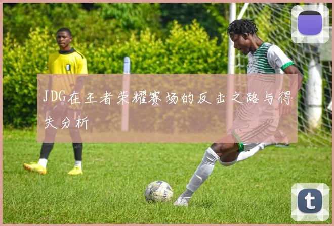 JDG在王者荣耀赛场的反击之路与得失分析