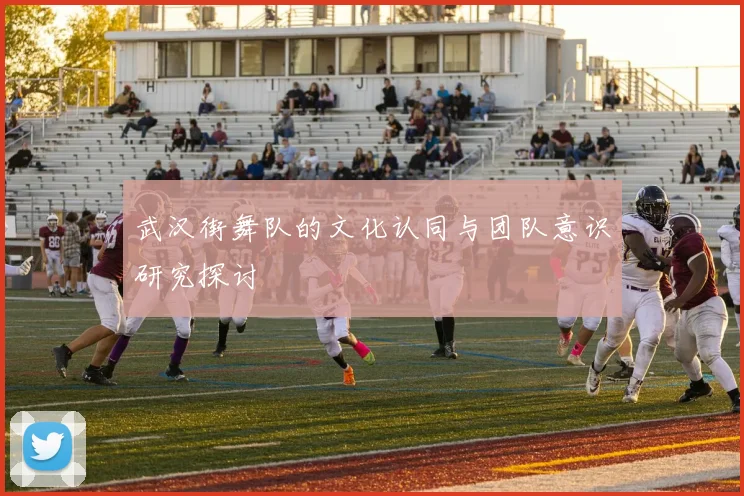 武汉街舞队的文化认同与团队意识研究探讨